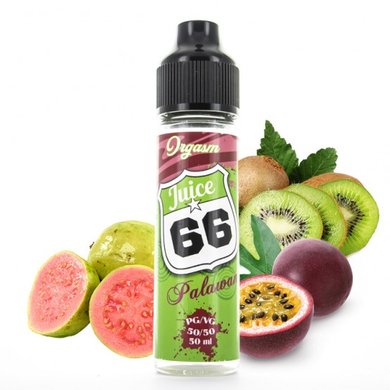 Palawan 50ml Orgasm - Juice 66