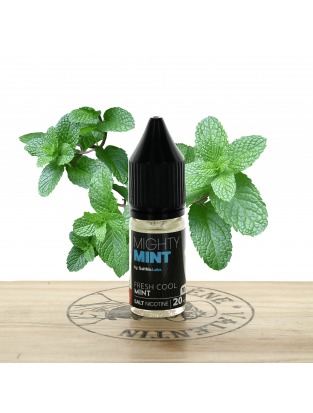 Mighty Mint (sel) 10ml - VGOD