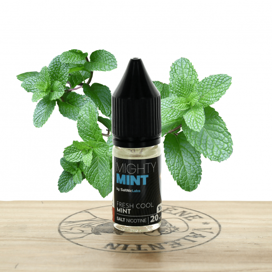 Mighty Mint (sel) 10ml - VGOD